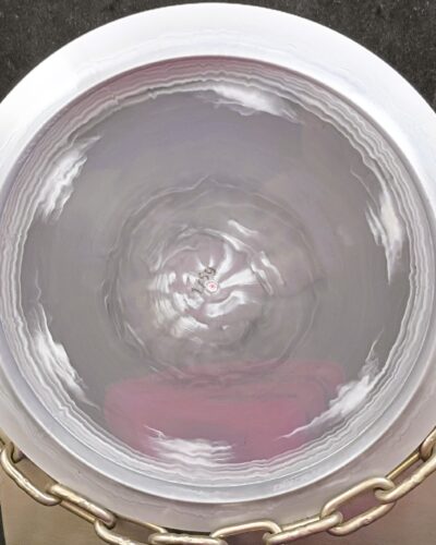 Discraft Ricky Wysocki Proto ESP HALLUX Disc Golf Driver