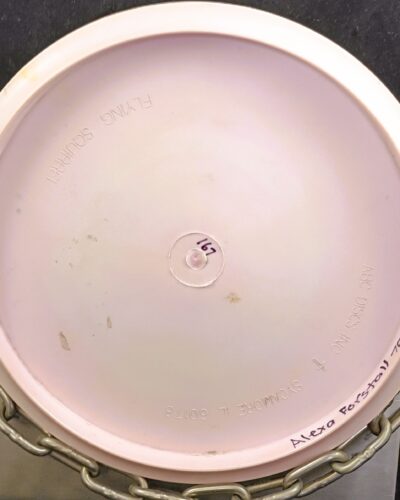 ABC Discs FLYING SQUIRREL Mid Range Disc Golf Driver