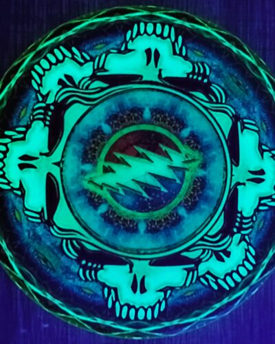Innova Grateful Dead Steal Your Face Champion Star TORO Mid Range Disc Golf Driver